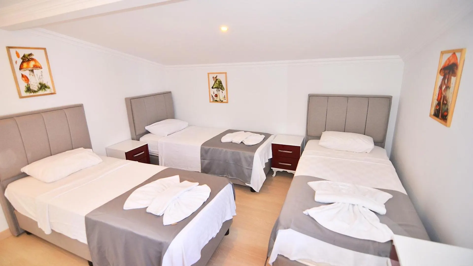 Aparthotel Mykonut Apart Hotel Fethiye